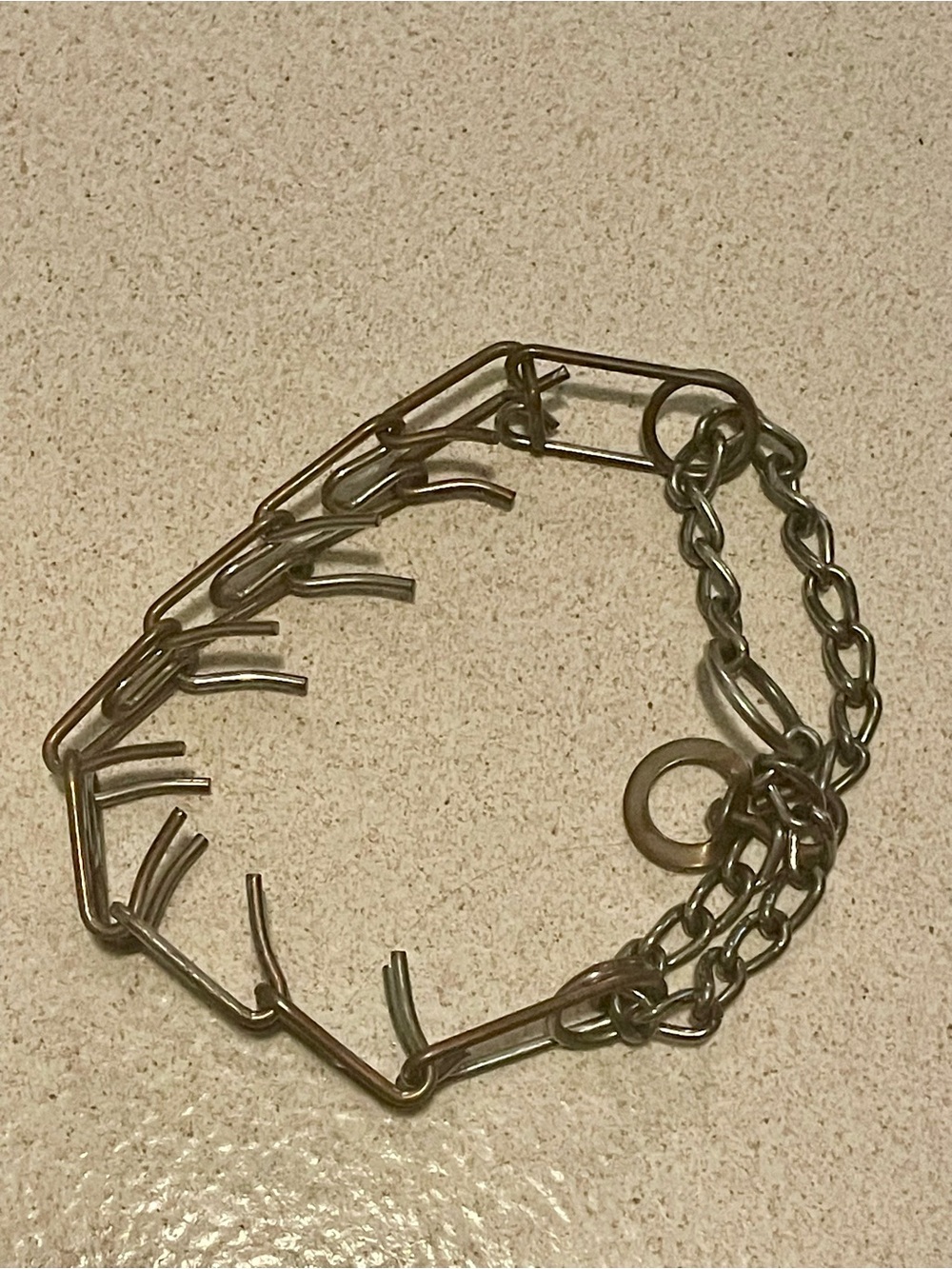 Dog choke collar for large dogs.